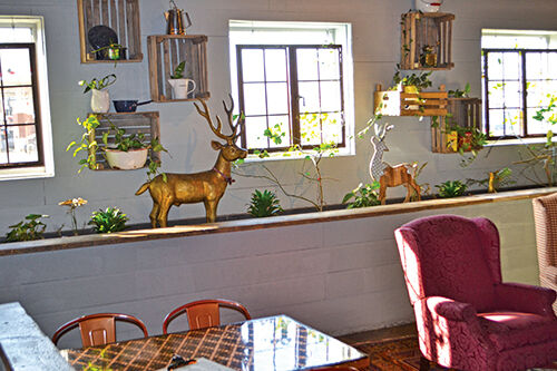 Forager Brewery: Farm to Table joins a good brew